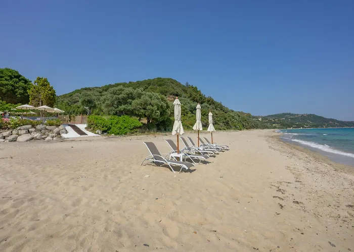 ¨solo¨ In Paradise *