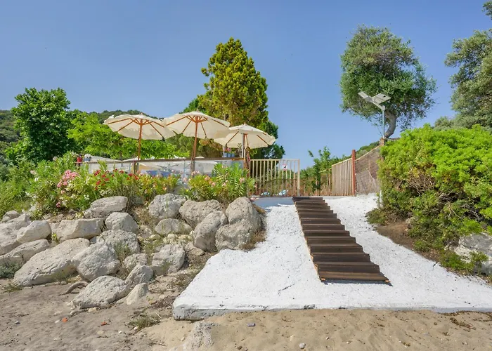 ¨solo¨ In Paradise * 이에리소스